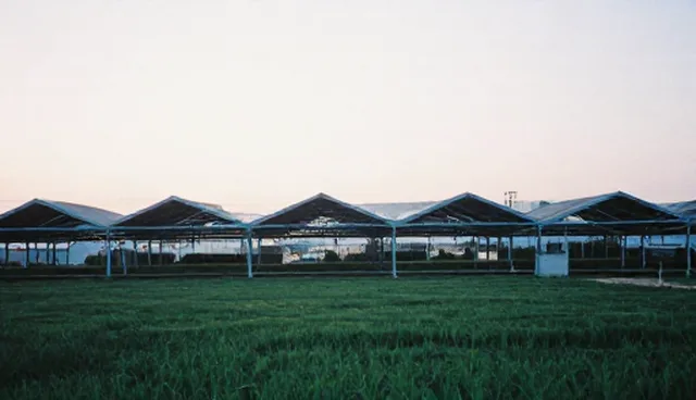 技术支持中性能优化的选型与使用建议